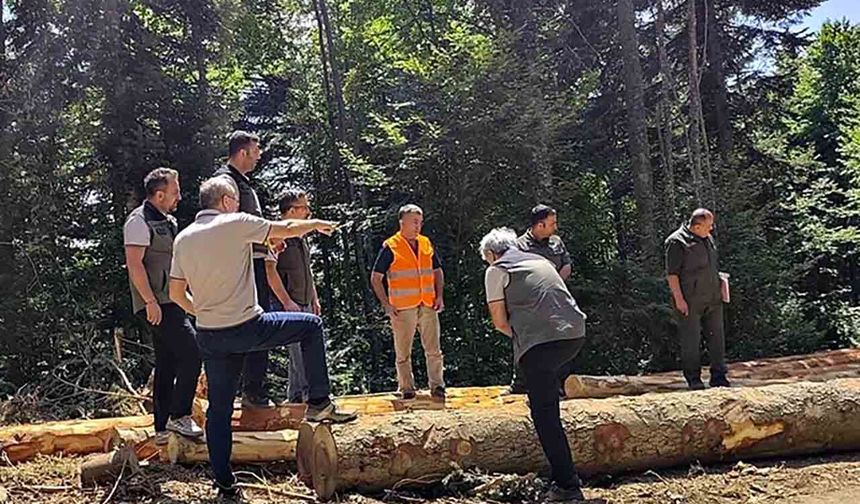 Bolu’da ormancılık faaliyetlerine saha denetimi