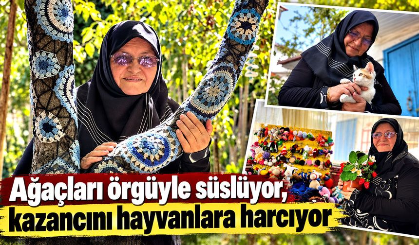 Ağaçları örgüyle süslüyor, kazancını hayvanlara harcıyor