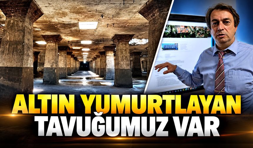 Altın yumurtlayan tavuğumuz var
