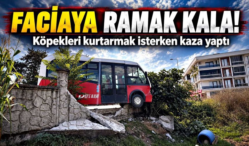 Köpeklere çarpmamak için manevra yaptı, duvara çarptı