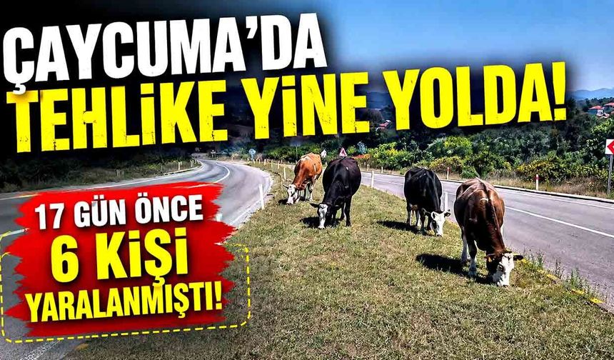 Çaycumada Tehlike Yine Yolda! 17 Gün Önce 6 Kişi Yaralanmıştı!