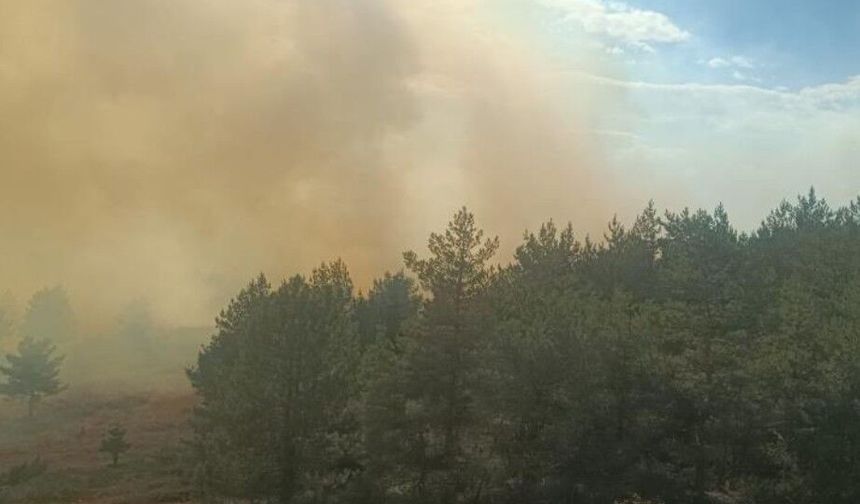 Bolu’da anız yangını ormana sıçradı: 2 helikopter müdahalede