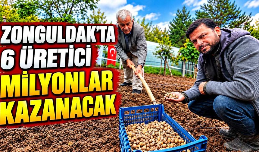 Zonguldak’ta 6 üretici salep yetiştirerek milyonlar kazanacak