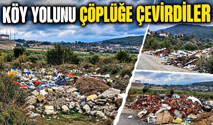 Köy yolunu çöplüğe çevirdiler