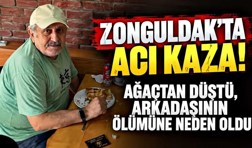 Ağaçtan düştü, merdiveni tutan kişi hayatını kaybetti
