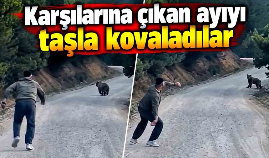 Bolu'da karşılarına çıkan ayıyı taşla kovaladılar