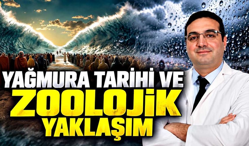 Yağmura tarihi ve zoolojik yaklaşım