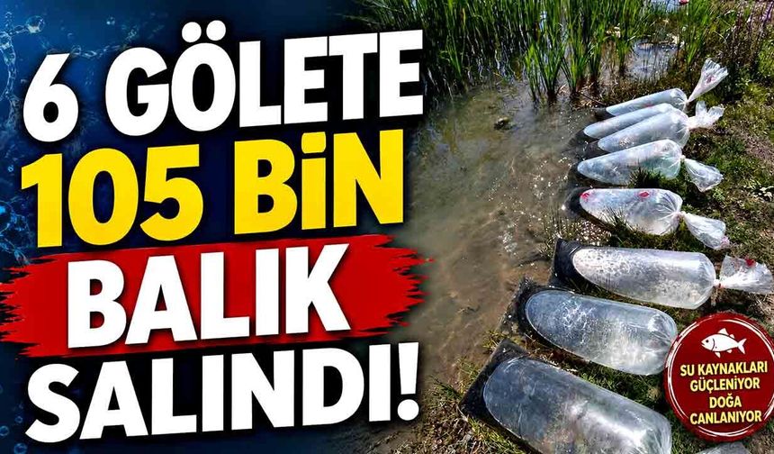 Karabük’te göletlere balık bereketi: 105 bin yavru salındı