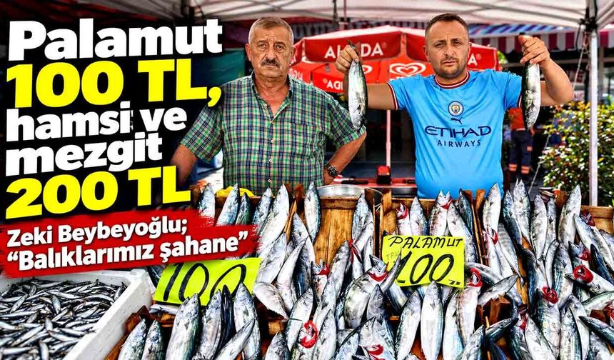 Balık tezgâhları hareketlendi: İşte Zonguldak’taki yeni fiyatlar