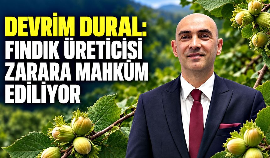 Devrim Dural: Fındık üreticisi zarara mahkûm ediliyor