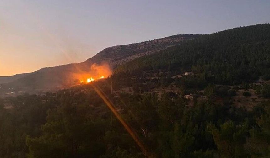 Evlerin arasındaki bahçede çıkan yangın korkuttu
