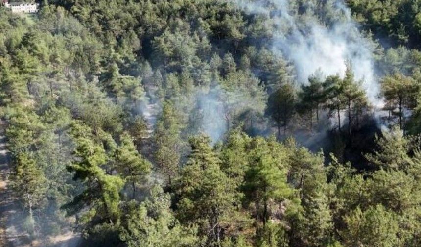 Kent ormanındaki örtü yangını büyümeden söndürüldü