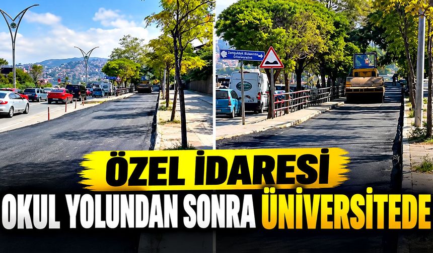 Özel İdaresi okul yolundan sonra üniversitede