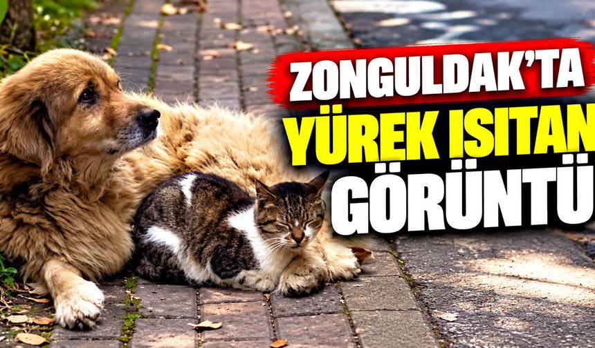 Zonguldak’ta yürek ısıtan görüntü