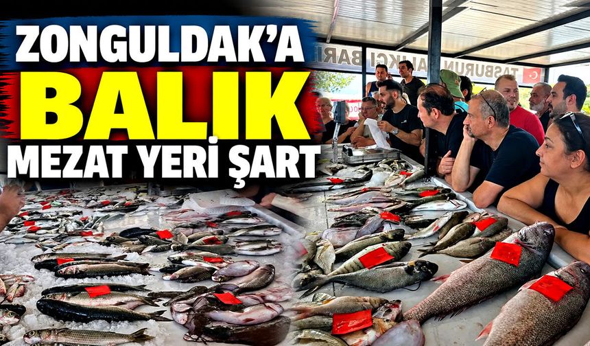 Zonguldak’a balık mezat yeri şart