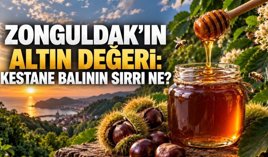 Zonguldak’ın altın değeri: Kestane balı