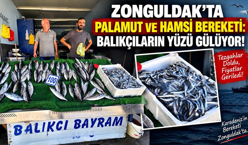 Zonguldak’ta palamut ve hamsi bereketi: Fiyatlar geriledi