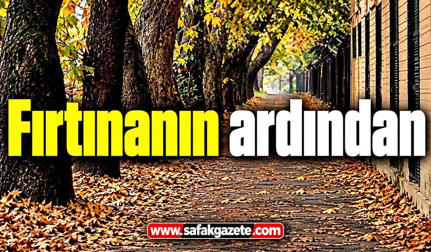 Fırtınanın ardından