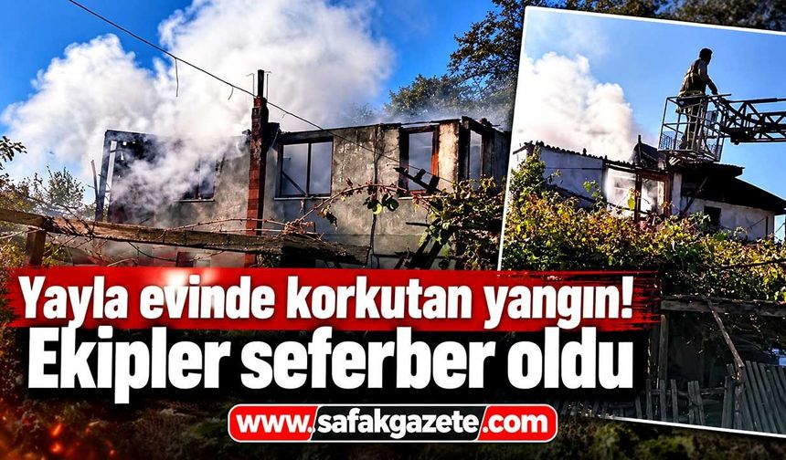 Yayla evinde korkutan yangın! Ekipler seferber oldu