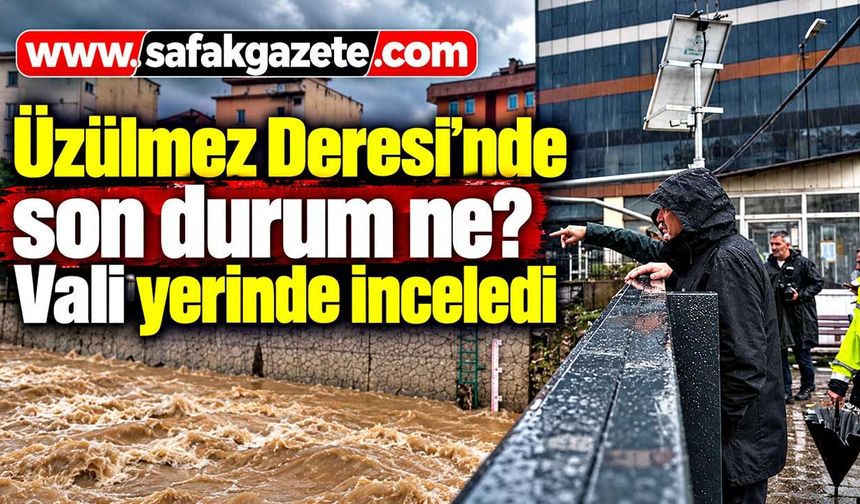Üzülmez Deresi'nde son durum ne? Vali yerinde inceledi