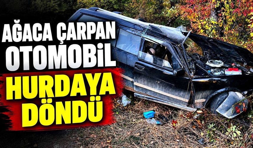 Ağaca çarpan otomobil parçalandı: Sürücü hastaneye kaldırıldı