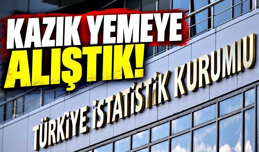 Kazık yemeye alıştık!