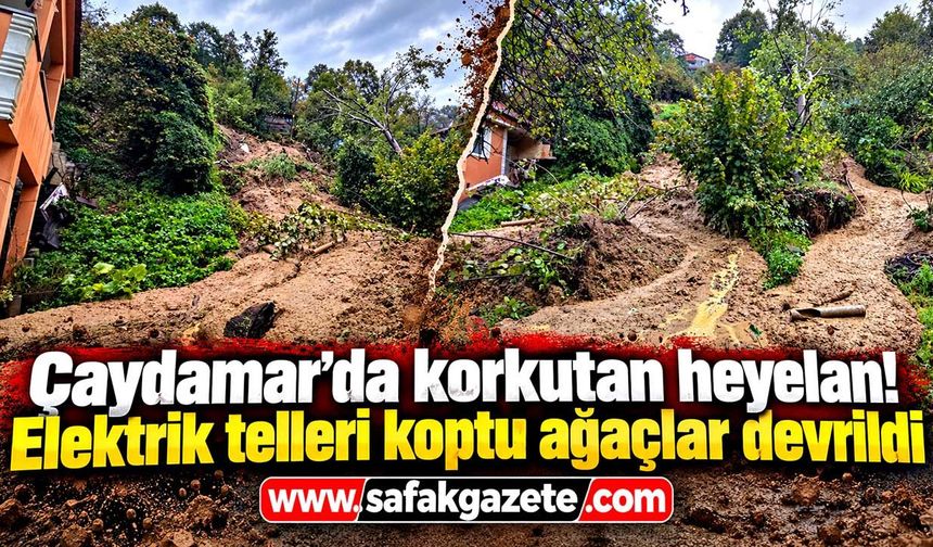 Çaydamar Mahallesinde korkutan heyelan elektrik telleri koptu ağaçlar devrildi