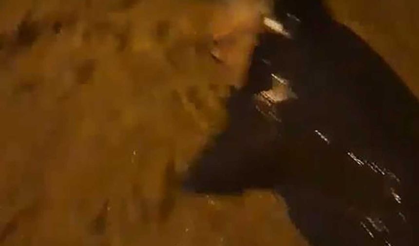 Armutlu’da sel sularına kapılan adamı böyle kurtardı