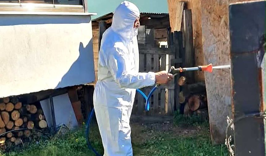Kahverengi kokarcaya karşı kışlak mücadele