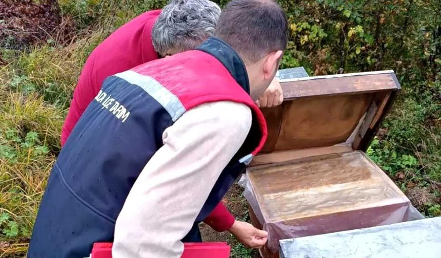 Yığılca'da ekipler sahada tek tek sayıyor