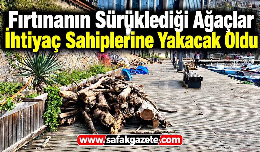 Zonguldak’ta Fırtınanın Sürüklediği Ağaçlar İhtiyaç Sahiplerine Yakacak Oldu
