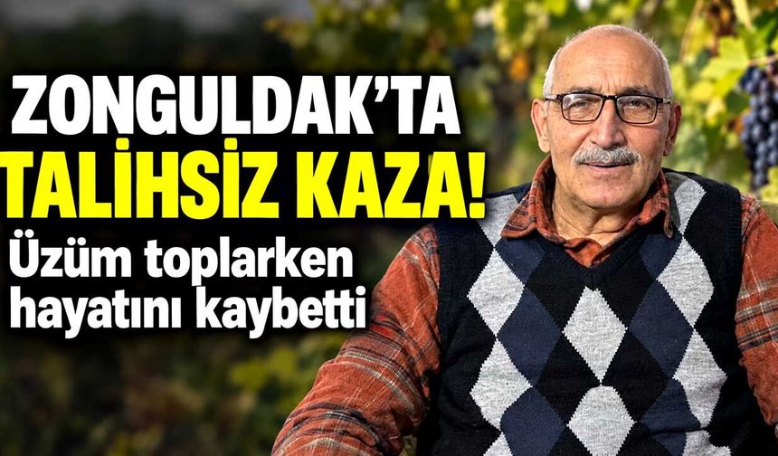 Zonguldak’ta talihsiz kaza: Üzüm toplarken hayatını kaybetti