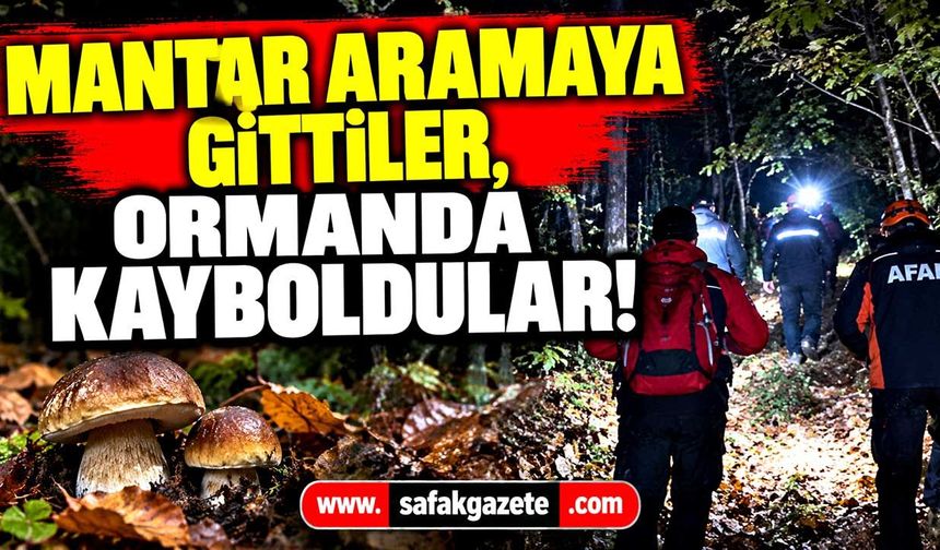 Karabük’te mantar aramaya gittiler, ormanda kayboldular!