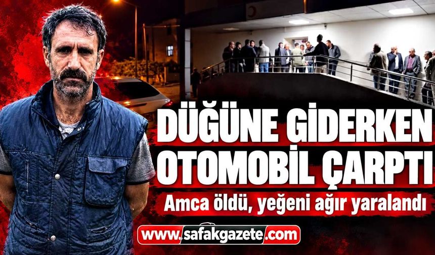 Düğün yolunda feci kaza: Otomobilin çarptığı amca öldü, yeğeni yaralandı
