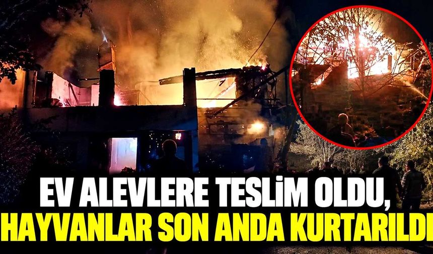 Tek katlı ev tamamen yandı: Ahırdaki hayvanlar son anda çıkarıldı