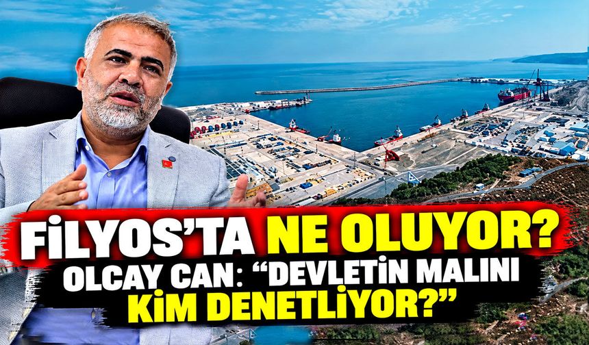 Olcay Can’dan Filyos çıkışı: “Devletin malını kim denetliyor?”