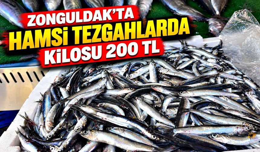 Zonguldak’ta hamsi tezgâhlarda: Kilosu 200 TL