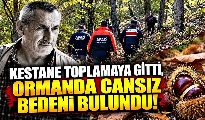Kestane toplamaya gitti, ormanda cansız bedeni bulundu!
