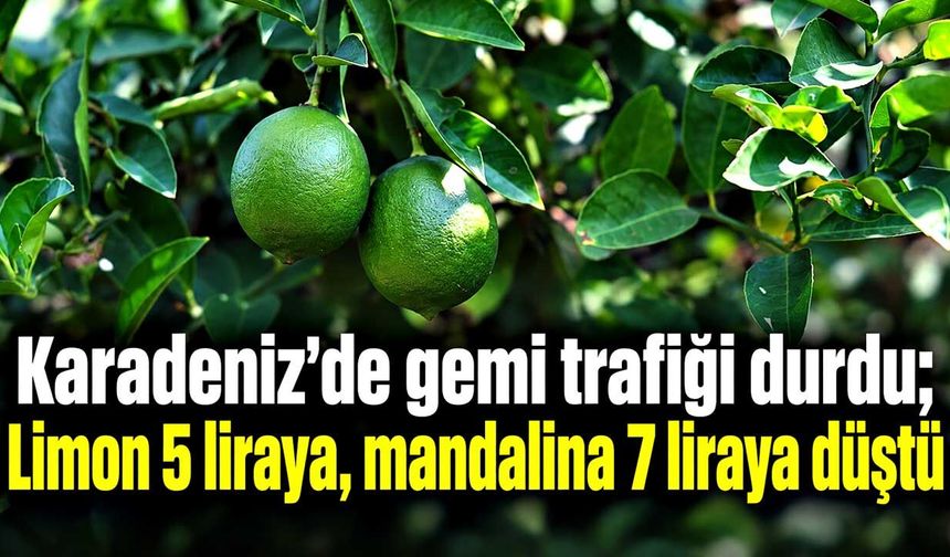 Karadeniz'de gemi trafiği durdu; Limon 5 liraya, mandalina 7 liraya düştü