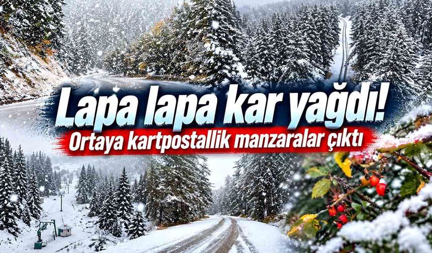 Lapa lapa kar yağdı! Ortaya kartpostallık manzaralar çıktı