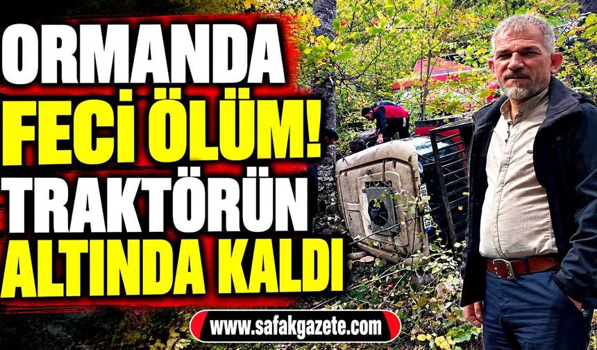 Ormanlık alanda can pazarı! Naim Karagül kurtarılamadı