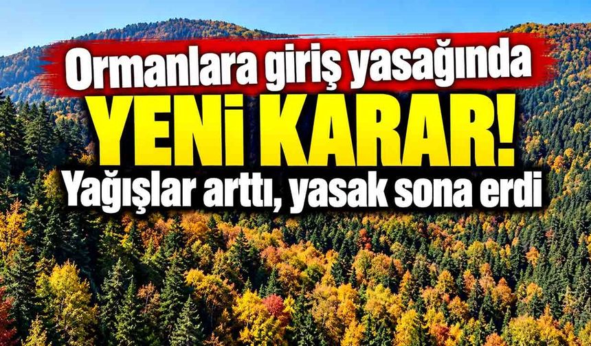 Ormanlara giriş yasağında yeni karar!  Yağışlar arttı, yasak sona erdi