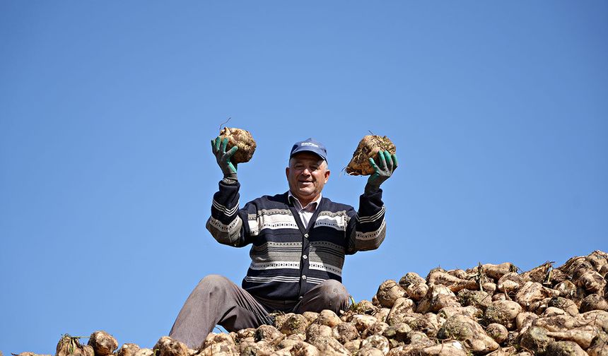 Şeker pancarı fiyatı belli oldu! Çiftçilerden 3 bin 720 liraya tepki