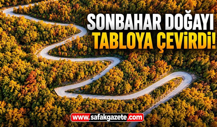 Sonbahar doğayı tabloya çevirdi!
