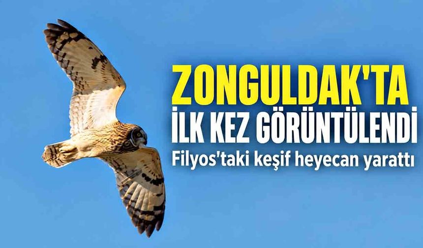 Zonguldak'ta ilk kez görüldü! Filyos'taki keşif heyecan yarattı