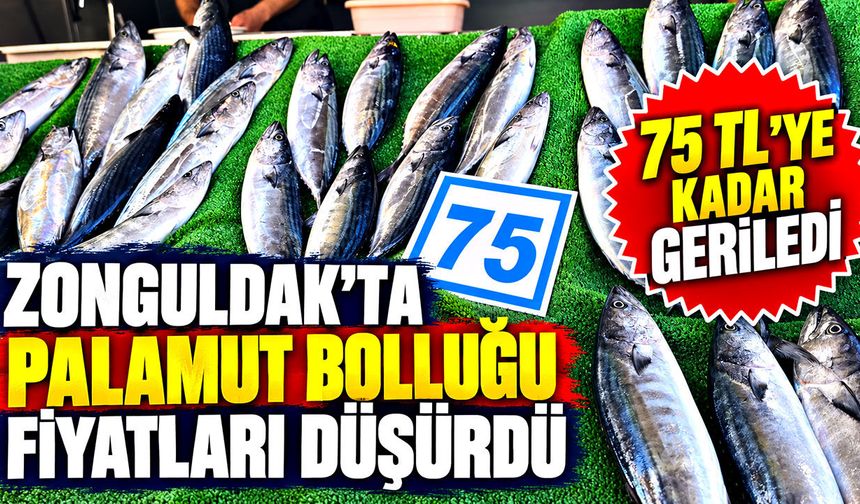 Zonguldak’ta palamut bolluğu fiyatları düşürdü: 75 TL’ye kadar geriledi