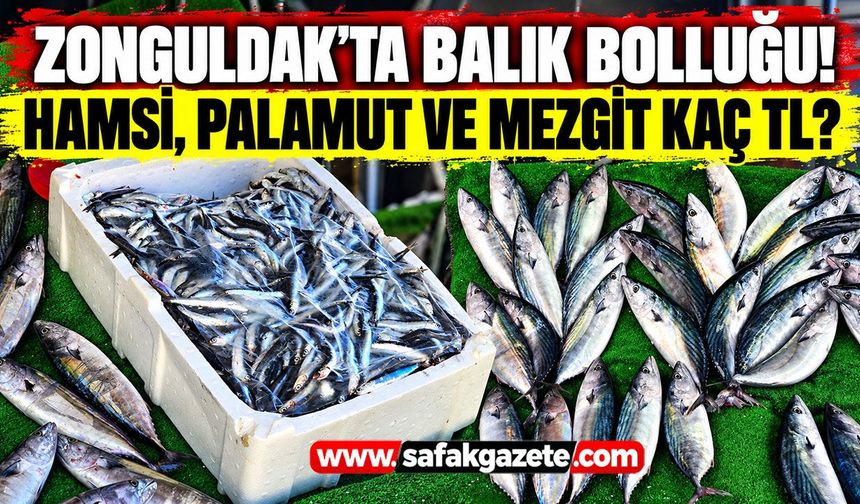 Zonguldak’ta balık bolluğu! Hamsi, palamut ve mezgit fiyatları