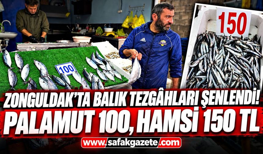 Zonguldak’ta balık tezgâhları şenlendi! Palamut 100, Hamsi 150 TL