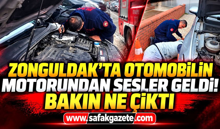 Zonguldak’ta otomobilin motorundan sesler geldi! Bakın ne çıktı