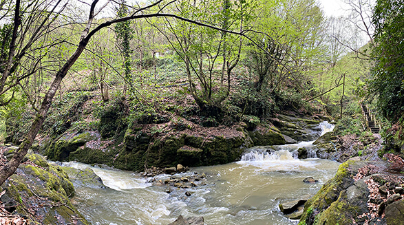 şehre beş (3)